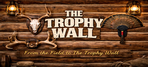 The Trophy Wall