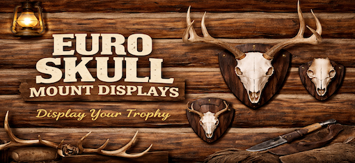 Euro Skull Mount Displays