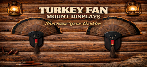 Turkey Fan Mount Displays
