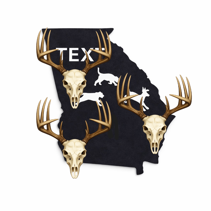Hounds Running Deer Euro Mount Display