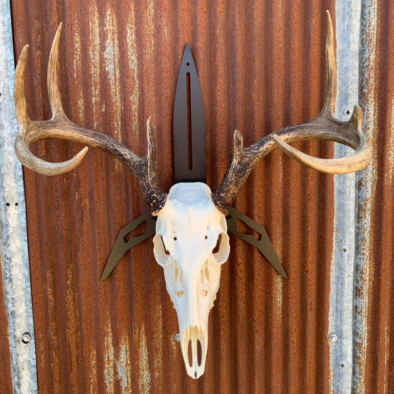 Projectile European Skull Wall Mount