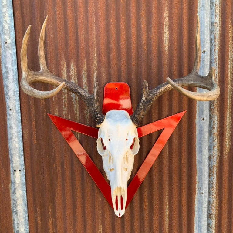 Projectile European Skull Wall Mount