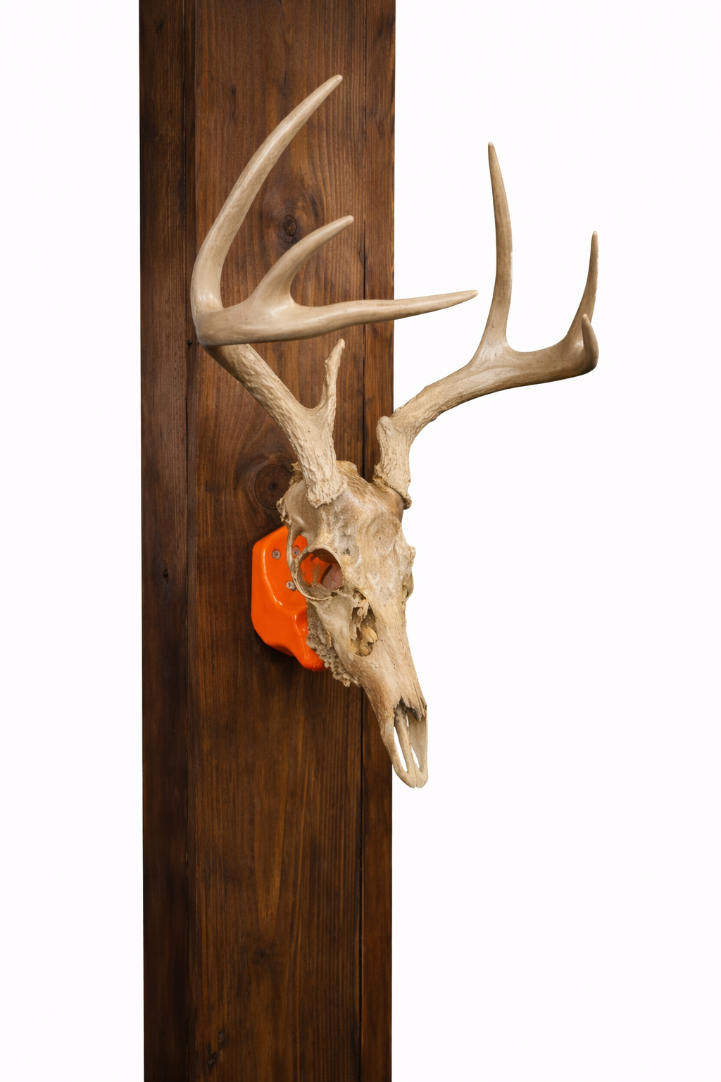 Universal Euro Mount Wall Bracket