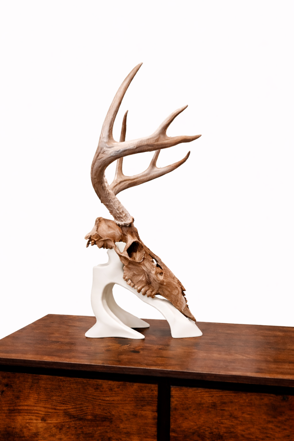 Euro Desk Stand – New Version