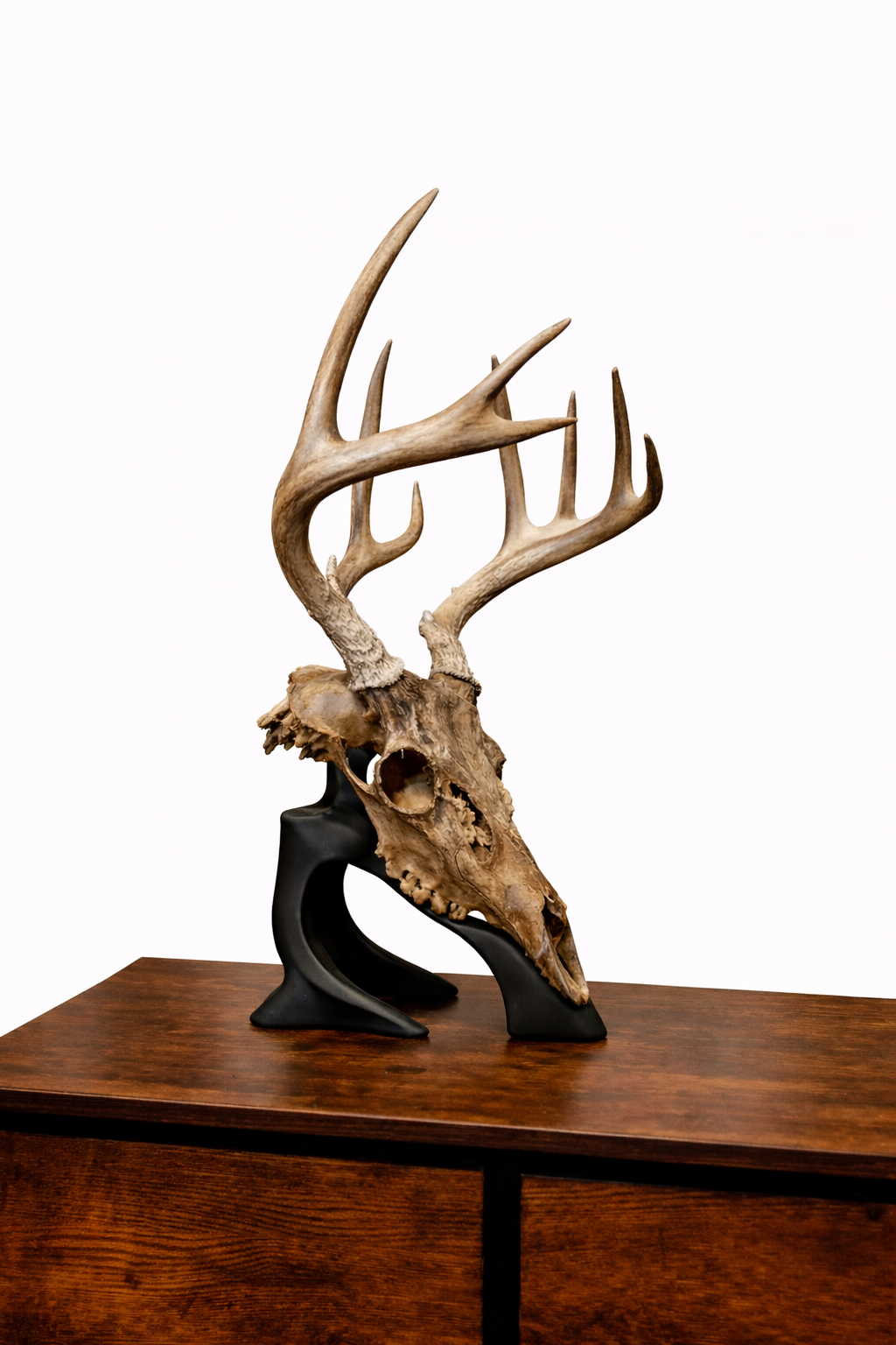 Euro Desk Stand – New Version