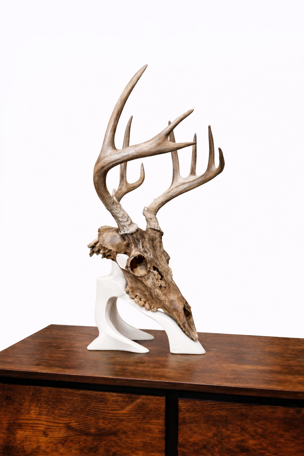 Euro Desk Stand – New Version