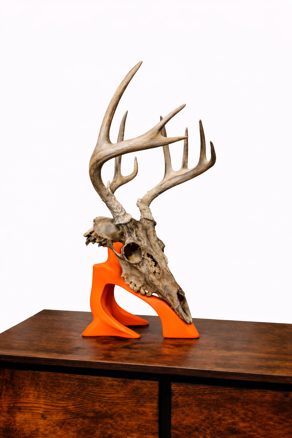 Euro Desk Stand – New Version