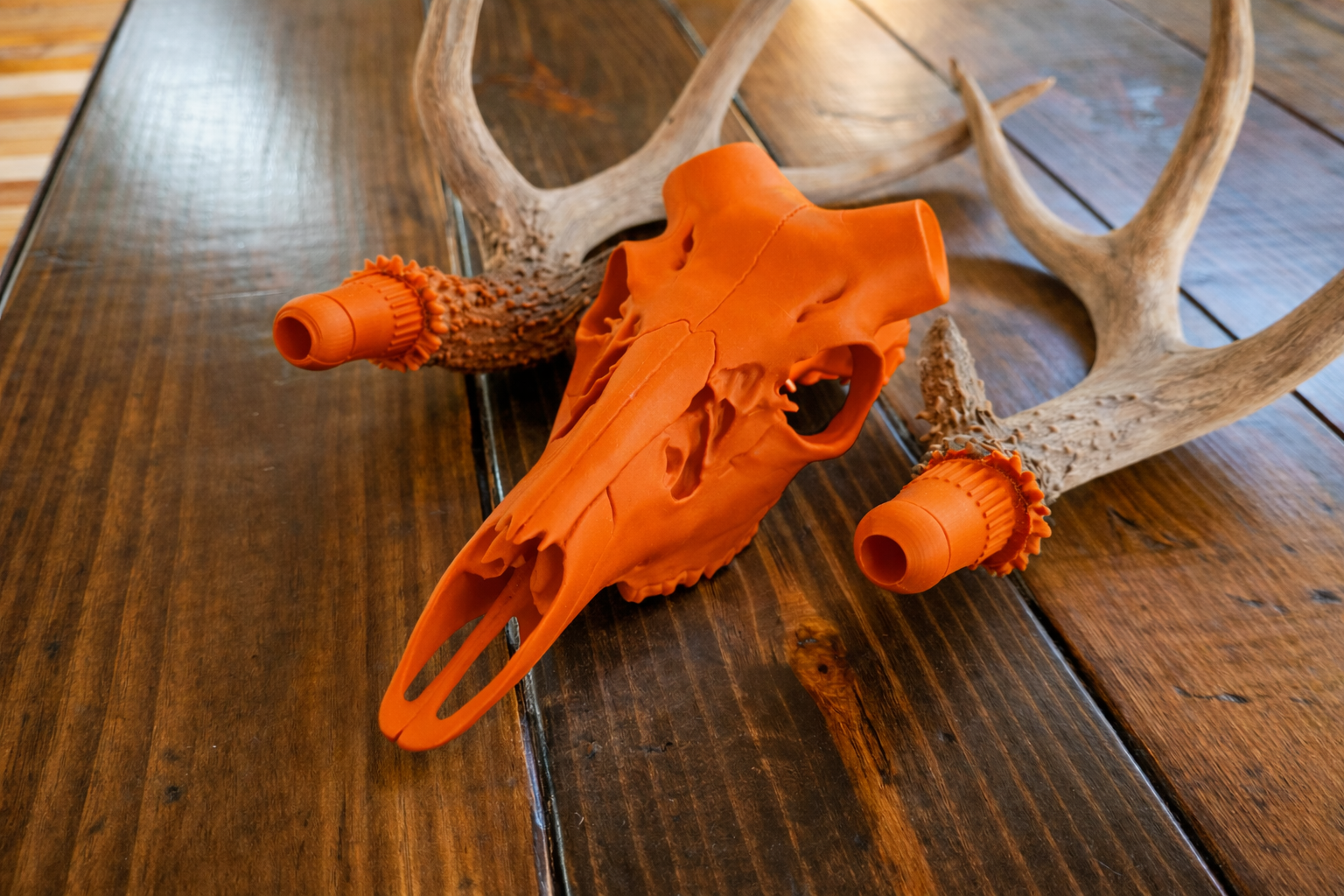 Deer Skull with Bullet Anchor Antler Mount System