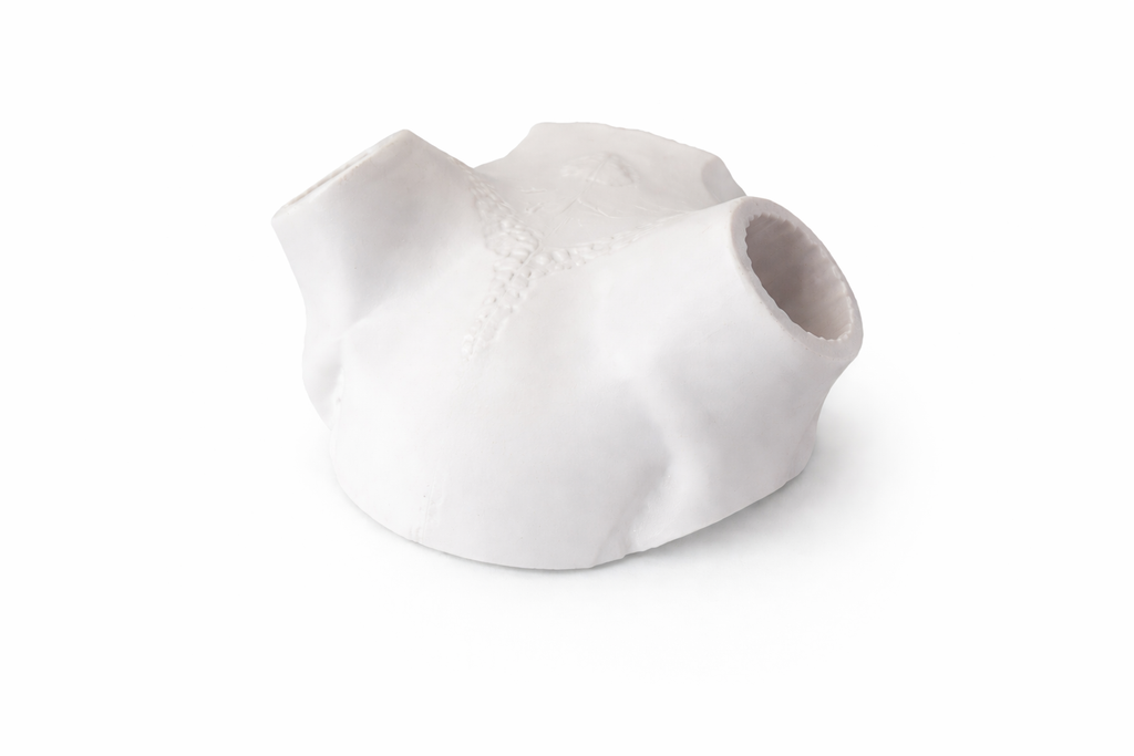 Whitetail Skull Cap with Bullet Anchor System