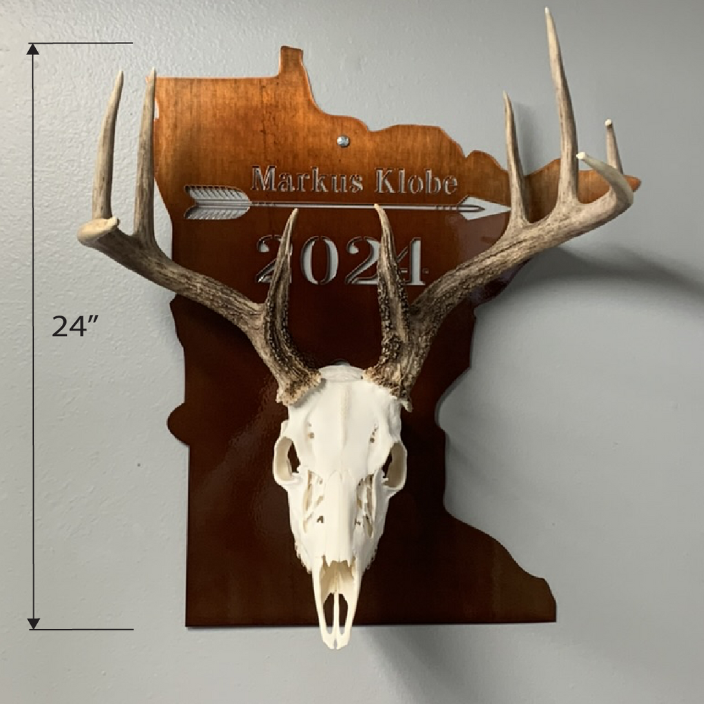 European Skull Wall Mount