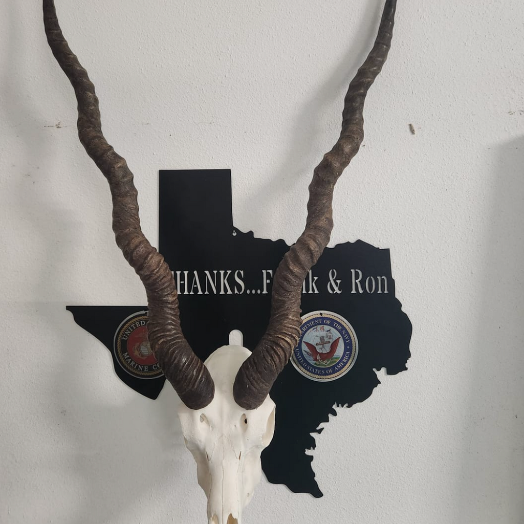 European Skull Wall Mount
