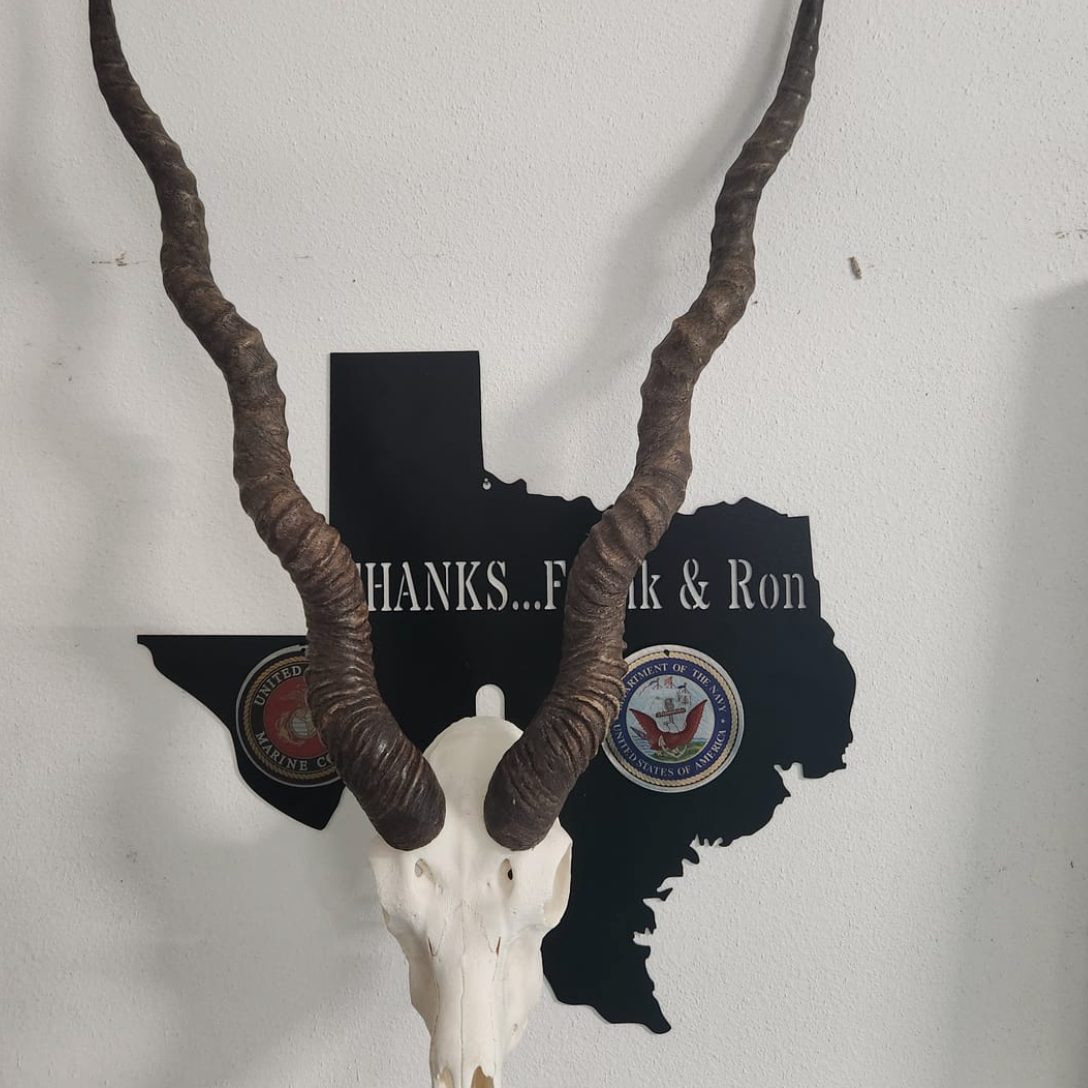 European Skull Wall Mount
